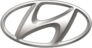 Hyundai Stratis Parts